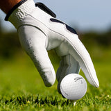 Titleist Pro V1 2025